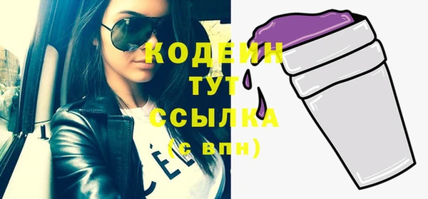 индика Волосово