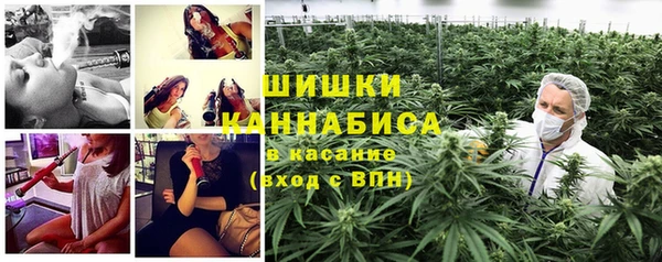 spice Володарск