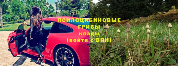 spice Володарск