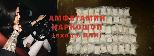 индика Волосово