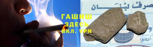 индика Волосово