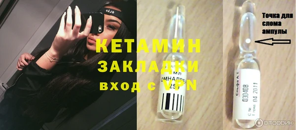 индика Волосово