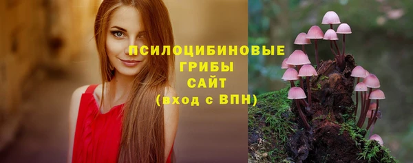 индика Волосово