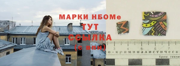 индика Волосово