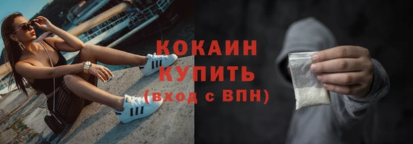 индика Волосово