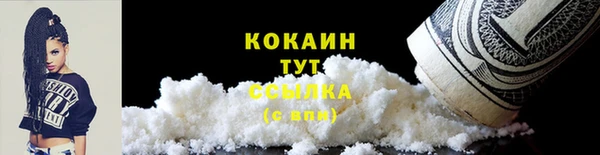индика Волосово