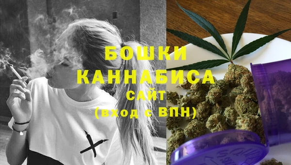 индика Волосово