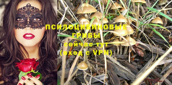 индика Волосово