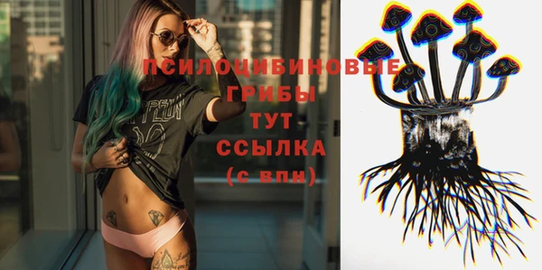 spice Володарск