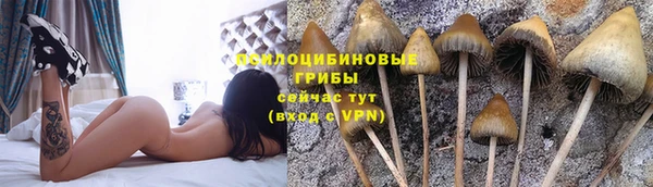 индика Волосово